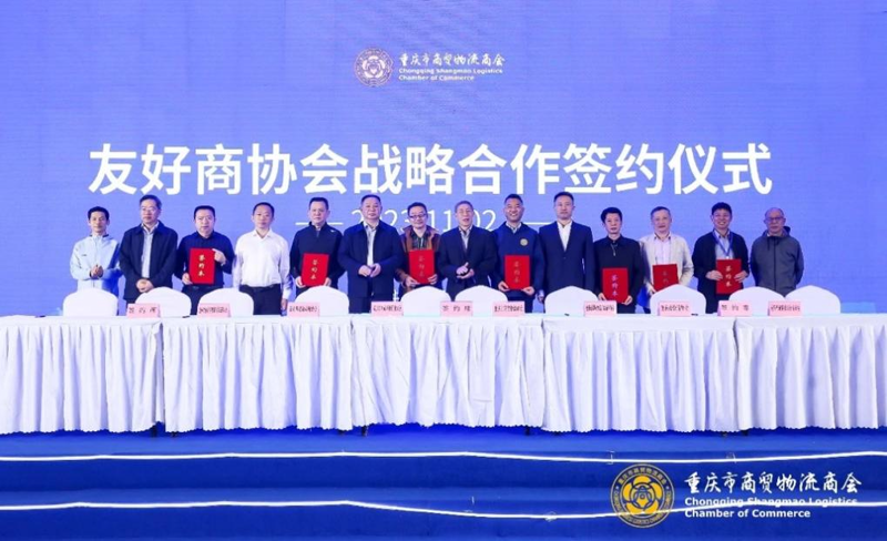 大宗商品贸易风向标：全球市场动态观察
